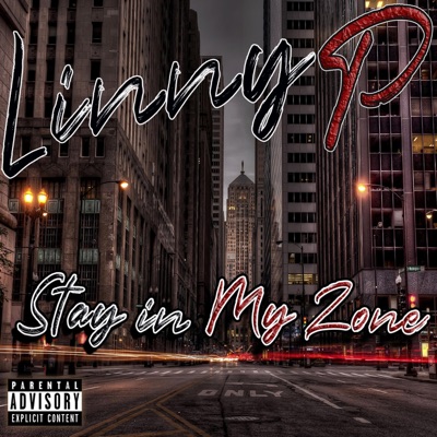Stay in My Zone - Single