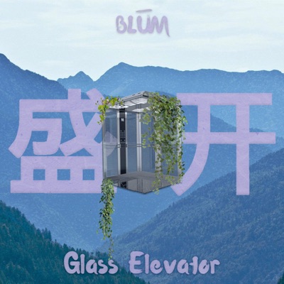 Glass Elevator - Single