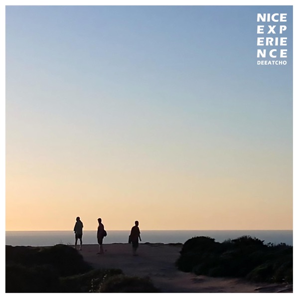 Nice Experience - EP