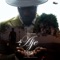 Aje (feat. Barry Jhay & Lyta) [Remix] - Jaywon lyrics