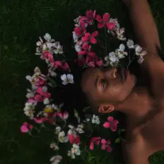 收听 Pheonix、观看音乐视频、阅读小传、查看巡演日期等 ！