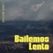 Bailemos Lento - Linda Briceño lyrics