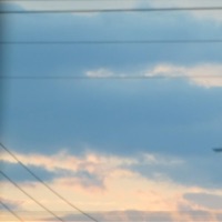 24 - Single - Arbajo Jairus