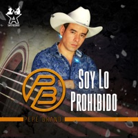 Soy Lo Prohibido - Single - Pepe Brandi