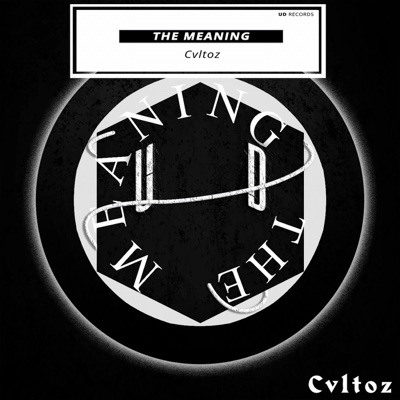 The Meaning - Single