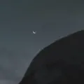 I'm Sorry, I Tried