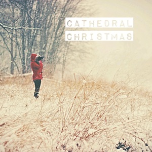 Cathedral Christmas