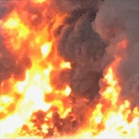 F**k a Blu Stripp 2 - Single - dreamcache