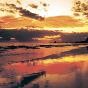 Ambient Classical Guitar Collection of Acoustic Improvisations - Andrei Krylov