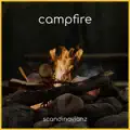 Campfire