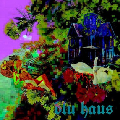 Blu Haus