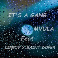 Mvula (feat. Lirroy & Saint Doper) - Single - It's a Gang
