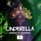 Cinderella (feat. Kai Vacio) - Barick lyrics