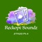 The Rock - Reckopt Soundz lyrics