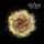 Phase - Floral Effect