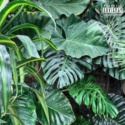 Paradise - Single