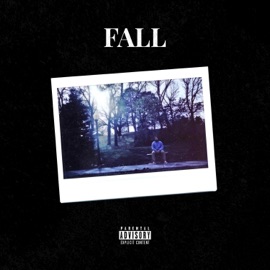 Spotlight Psychedelic Sidekick