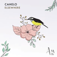 Elsewhere (DSF Remix) - Single - Cahelo