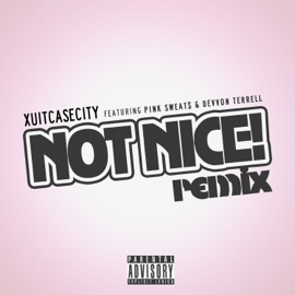 Not Nice! (Remix) [feat. Pink Sweat$ & Devvon Terrell] Xuitcasecity