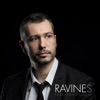 Sébastien Polloni Appartement en L Ravines