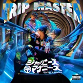 TRIP MASTER artwork