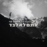 אתם לא לבד (feat. אלמוג לוי) - Single - Dili