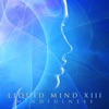 Liquid Mind XIII: Mindfulness, 2020
