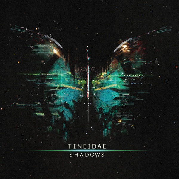 Shadows - Tineidae