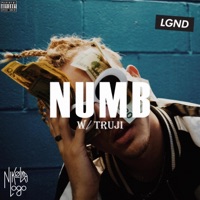 Numb - Single - Nikolas Logo & Truji