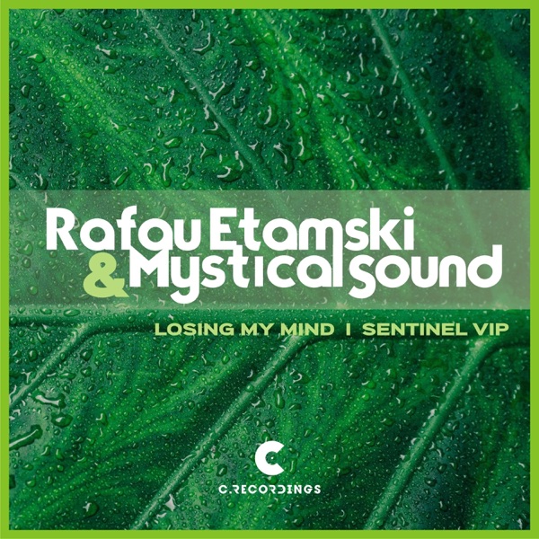 Losing My Mind / Sentinel Vip - Single