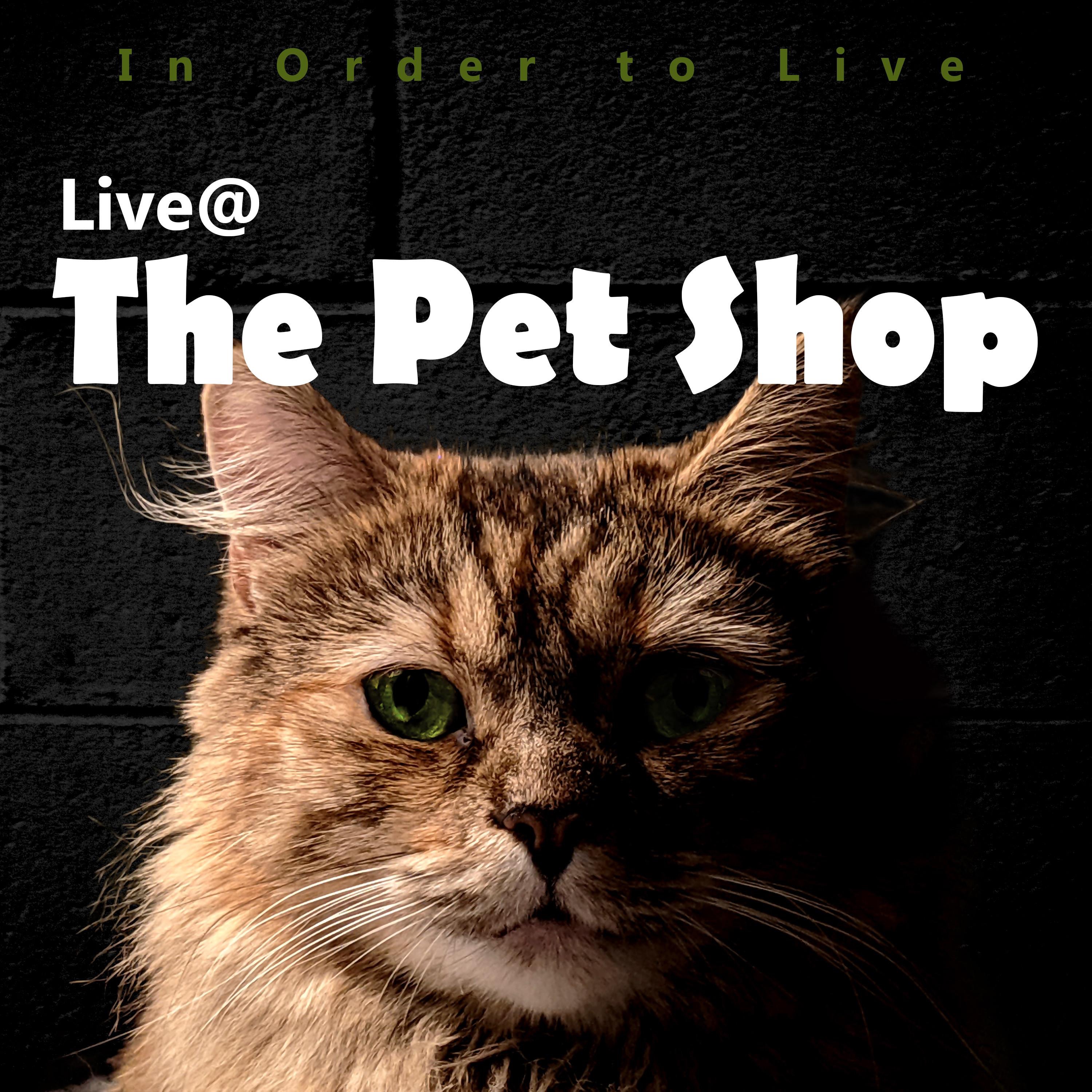 Live @ the Pet Shop