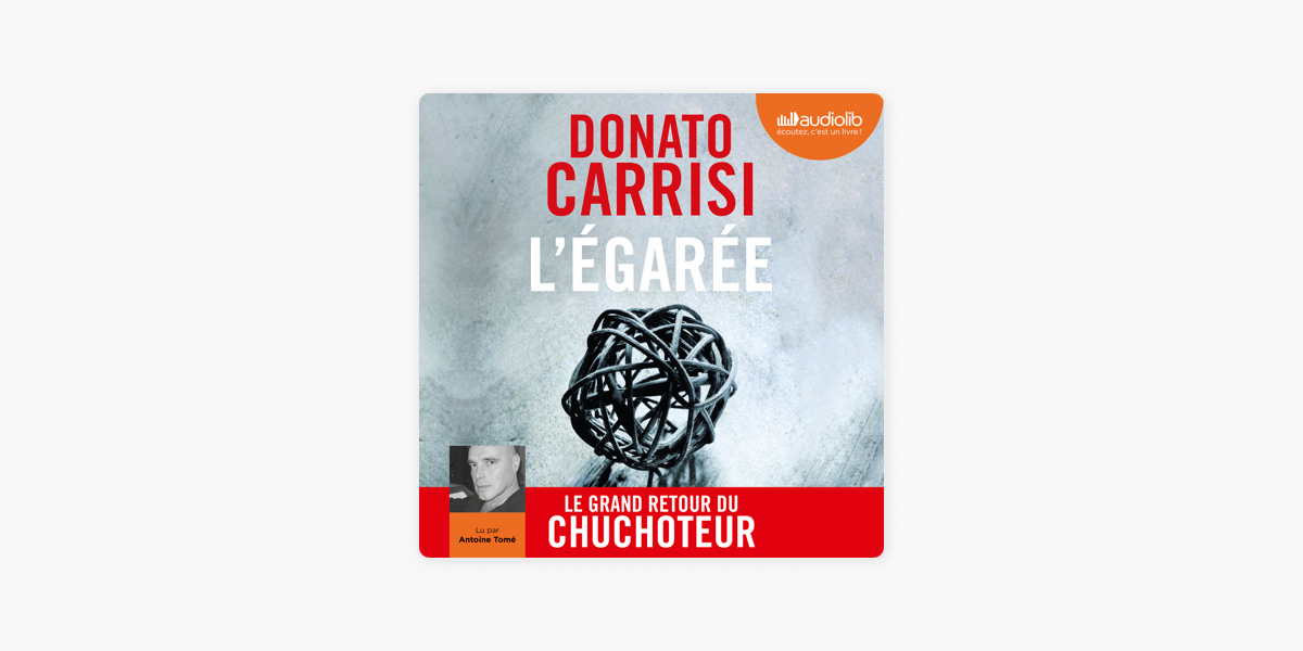 Le Jeu Du Chuchoteur - Donato Carrisi 
