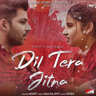 Dil Tera Jitna (feat. Sam Rajput) - Single
