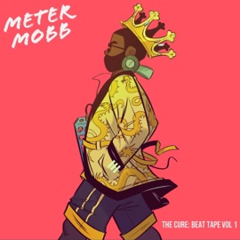 Benzoylmethylecgonine Meter Mobb