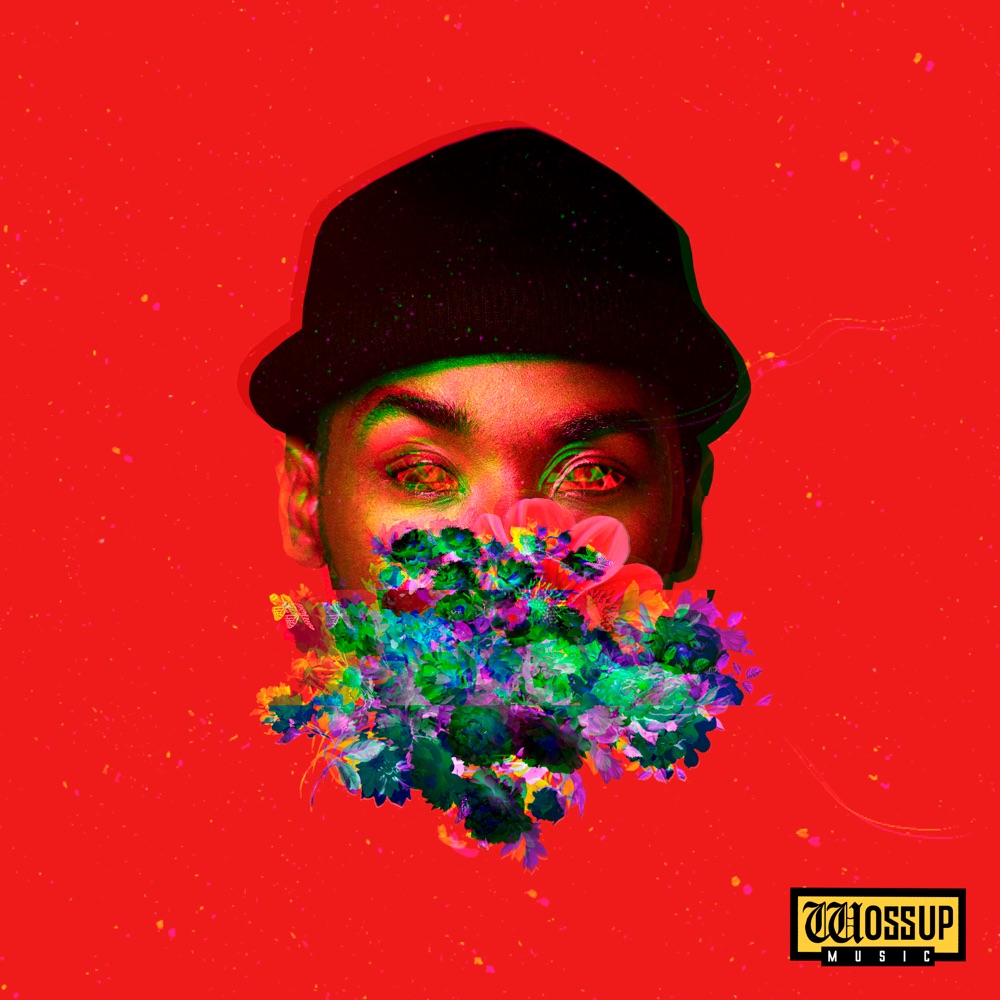 Обложка альбома «Bâtard Sensible» — CALY.EXE
