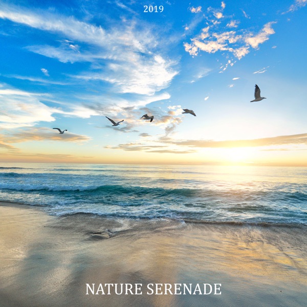 2019 Nature Serenade: Soothing Sounds for Sleep, Meditation, Study, Relax
