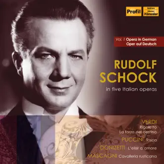 Rigoletto, Act III (Sung in German): Wer liegt statt seiner im Sacke? by RIAS Symphonie-Orchester & Ferenc Fricsay song reviws