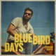 BLUEBIRD DAYS cover art