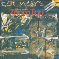 Ten years - Bertrand Renaudin & ZoomTop Orchestra