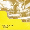 Trio Leo - Dress the Part