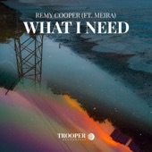 What I Need (feat. MEIRA) [Radio Mix] artwork