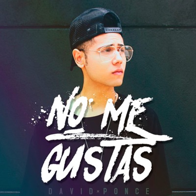 No Me Gustas - Single