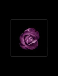 Mariko Tone을(를) 듣고, 뮤직 비디오를 보고, 약력을 읽고, 투어 일정 등을 확인하세요!
