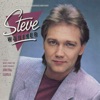 Steve Wariner - What I Didn't Do