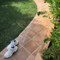 Beverly - Single - Koi