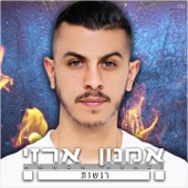 רגשות artwork