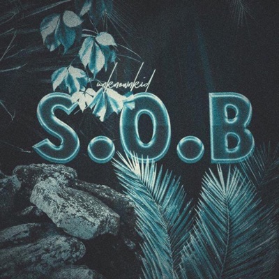 S.O.B - Single