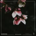 Awake