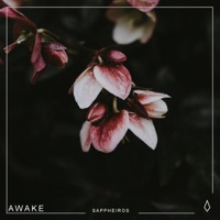 Awake - Single - Sappheiros