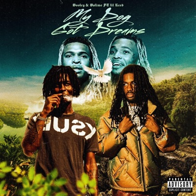 My Dog Got Dreams (feat. Lil Keed & Bslime) - Single
